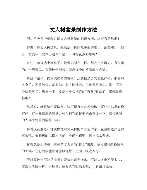 文人树盆景制作方法