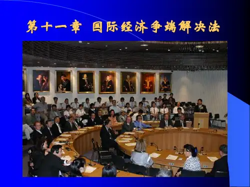 国际经济法学(第十一章)