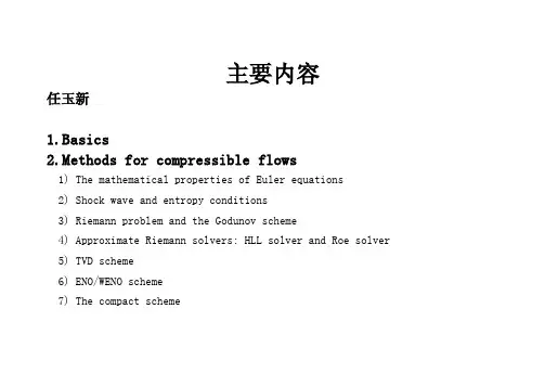 清华大学任玉新---高等计算流体力学