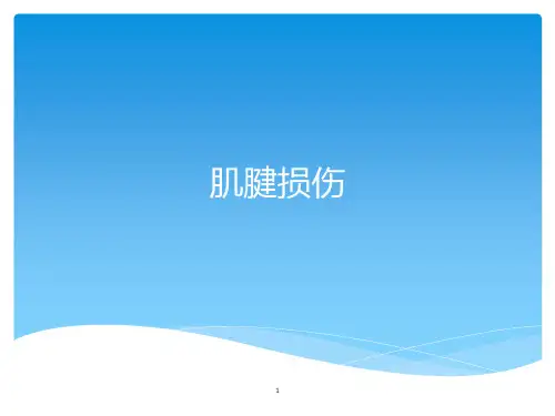 肌腱损伤PPT课件