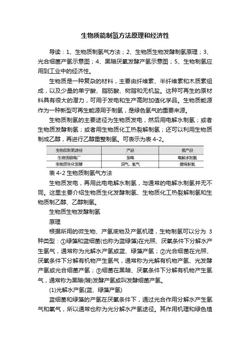 生物质能制氢方法原理和经济性