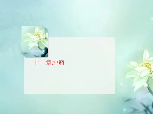 十一章肿瘤-课件