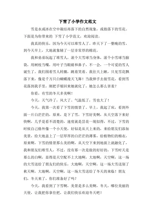 下雪了小学作文范文