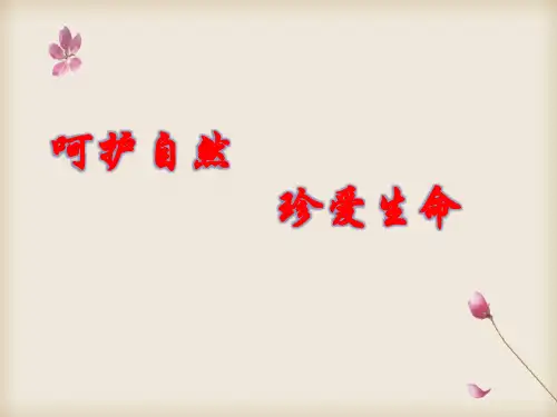 2020开学第一课--防疫与健康、生命教育主题班会：《呵护自然  珍爱生命》