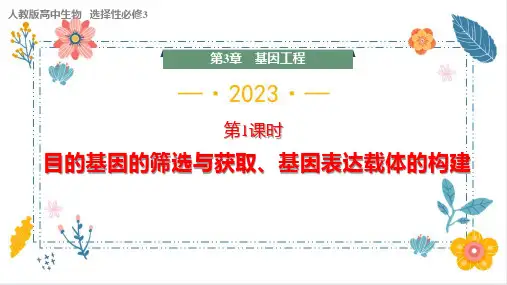 目的基因的筛选与获取基因表达载体的构建课件高二下学期生物人教版选择性必修3
