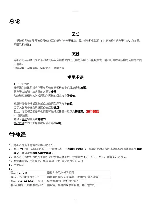 解剖学基础知识-周围神经系统