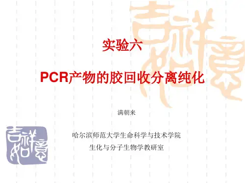PCR-RFLP实验设计经典方案(1)