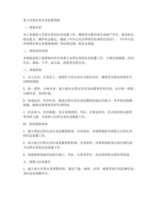 重大自然灾害应急处置预案
