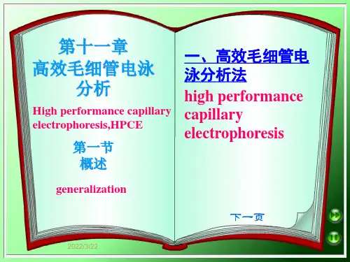 西南林大现代生化仪器分析课件11高效毛细管电泳分析第1节 概述