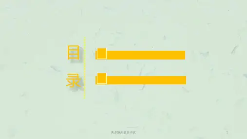 失步解列装置调试课件