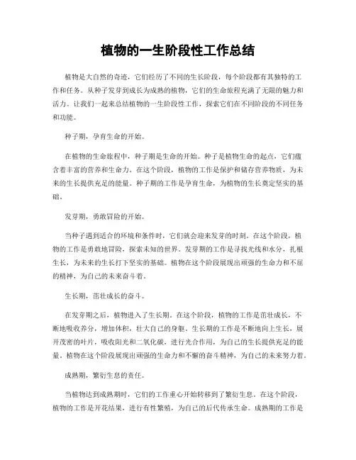 植物的一生阶段性工作总结