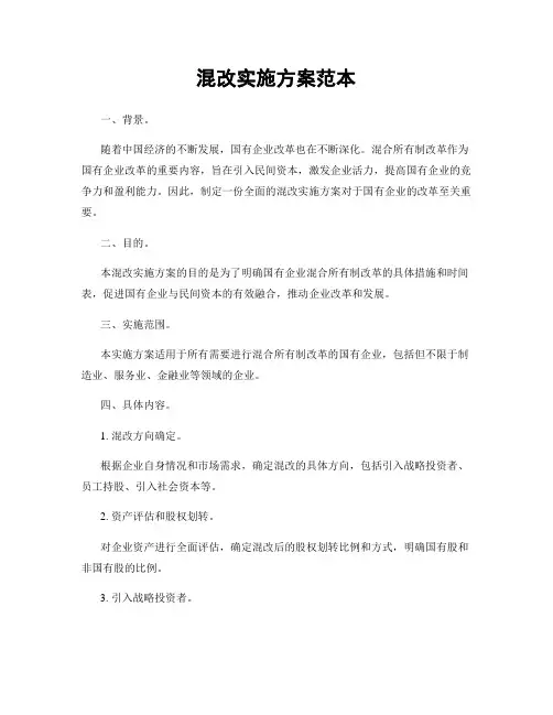 混改实施方案范本