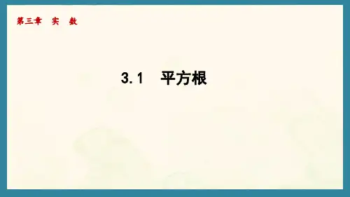 3.1 平方根(一)(课件)湘教版数学八年级上册