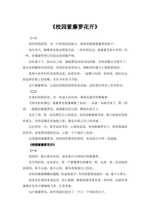 校园紫藤萝花开作文600字
