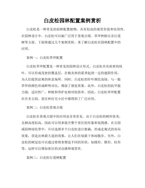 白皮松园林配置案例赏析
