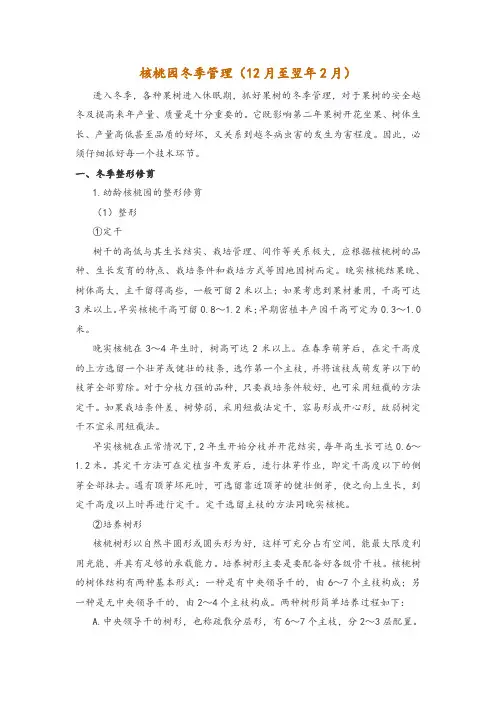 核桃园冬季管理(12月至翌年2月)
