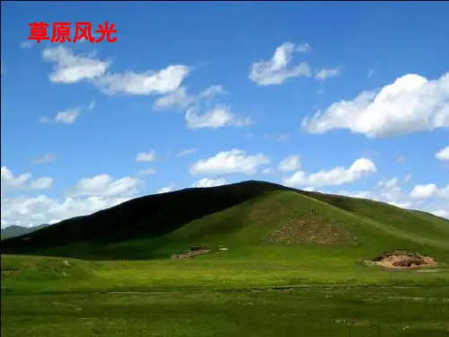 16、草原(优秀课件)ppt