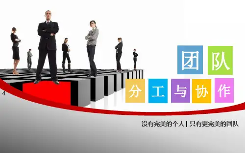 团队分工与协作(最终版).ppt