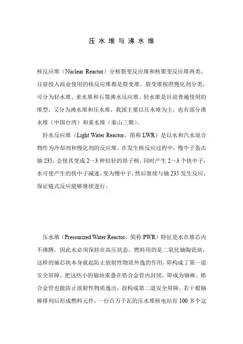 压 水 堆 与 沸 水 堆
