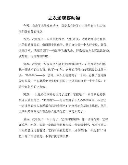 小学三年级作文这儿真美范文去农场观察动物