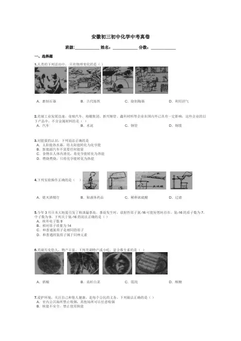 安徽初三初中化学中考真卷带答案解析
