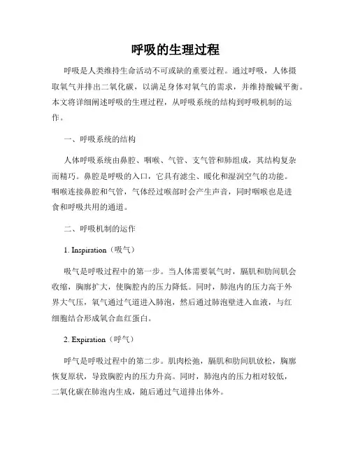 呼吸的生理过程