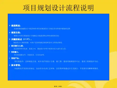 项目规划设计流程说明(与“评审”相关文档)共5张PPT