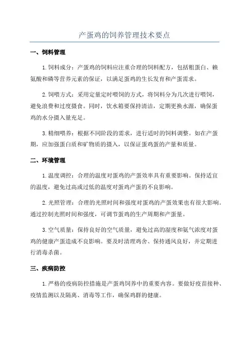 产蛋鸡的饲养管理技术要点