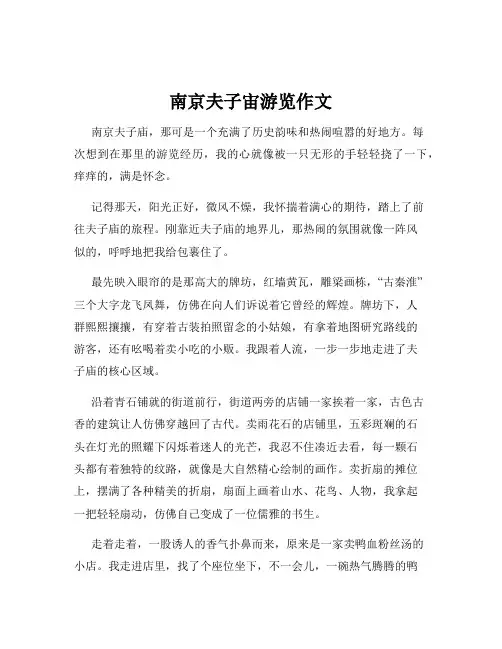 南京夫子宙游览作文