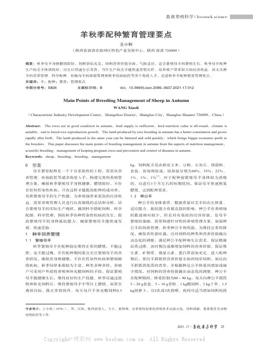 羊秋季配种繁育管理要点