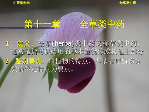第十一章 全草类中药