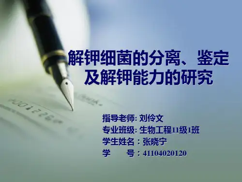 解钾细菌的分离、鉴定及解钾能力的研究——张晓宁讲解