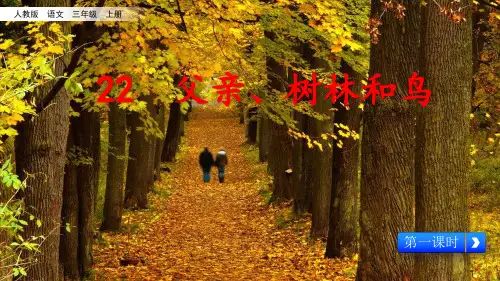 《父亲、树林和鸟》ppt优质课件