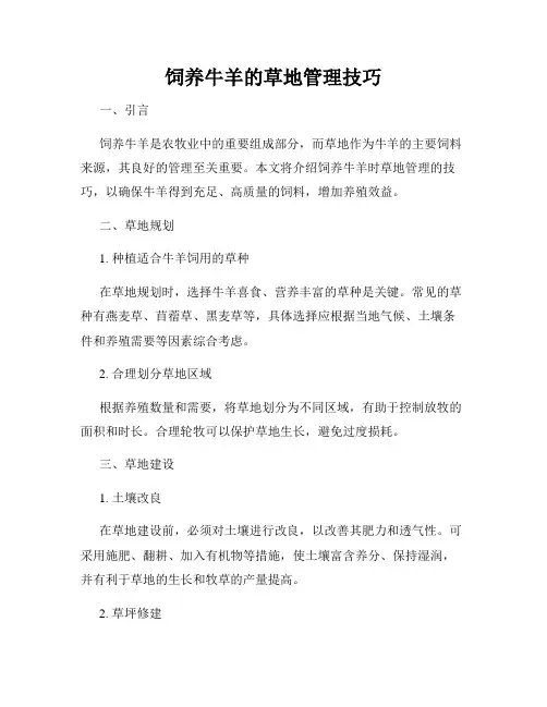 饲养牛羊的草地管理技巧