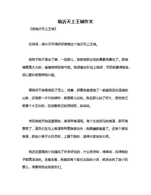 临沂天上王城作文