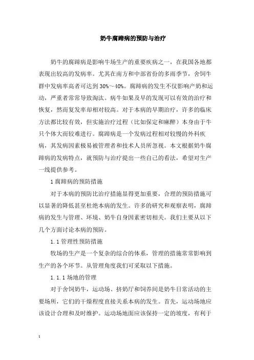 奶牛腐蹄病的预防与治疗