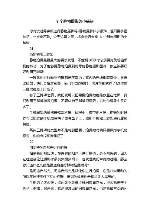 8个静物摄影的小秘诀