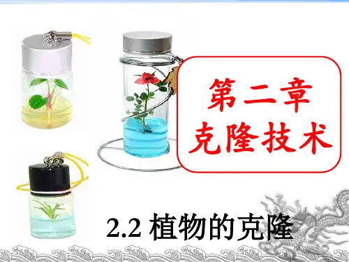 浙科版高中生物选修三2.2《植物的克隆》  课件 (共34张PPT) - 最新