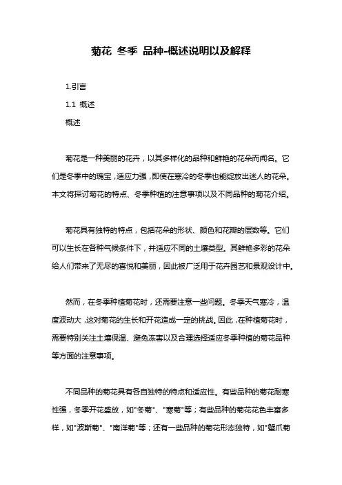 菊花 冬季 品种-概述说明以及解释