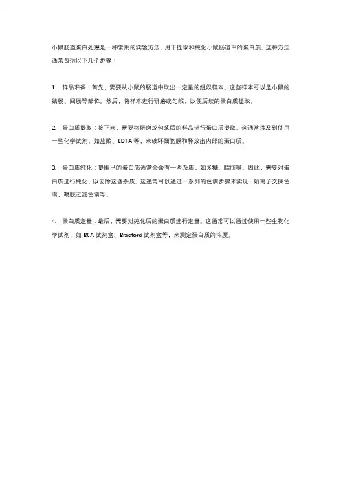小鼠肠道蛋白处理