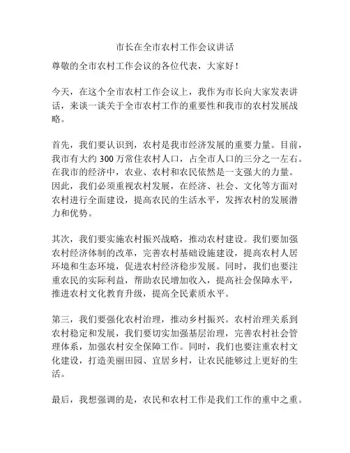 市长在全市农村工作会议讲话