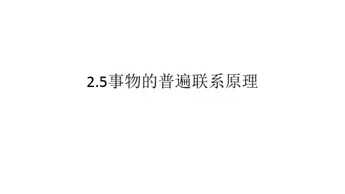 事物的普遍联系原理