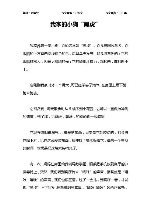 我家的小狗“黑虎”作文【小学六年级500字】