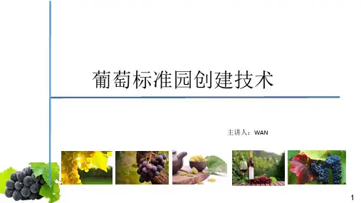 葡萄标准园创建技术
