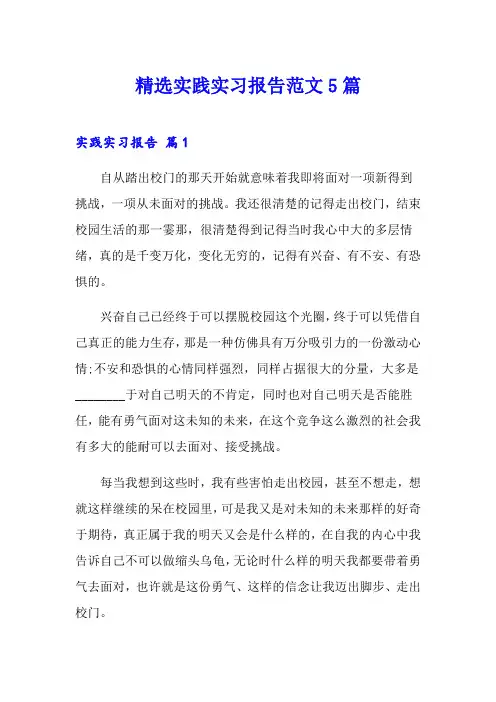 精选实践实习报告范文5篇