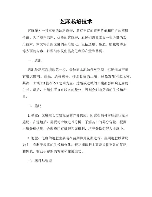 芝麻栽培技术
