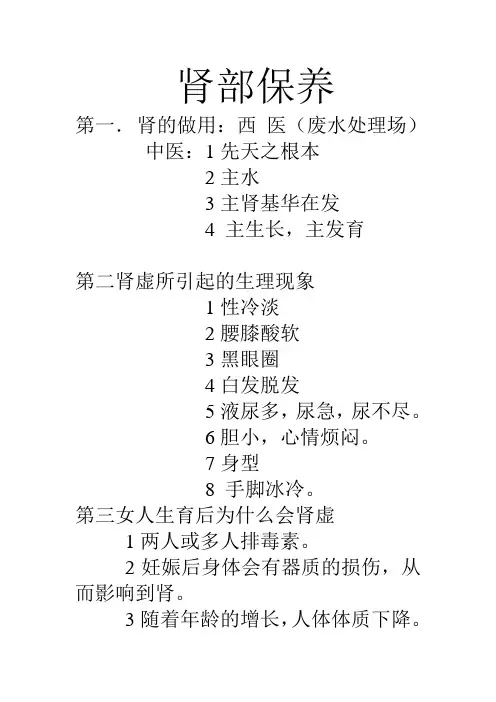 肾部保养