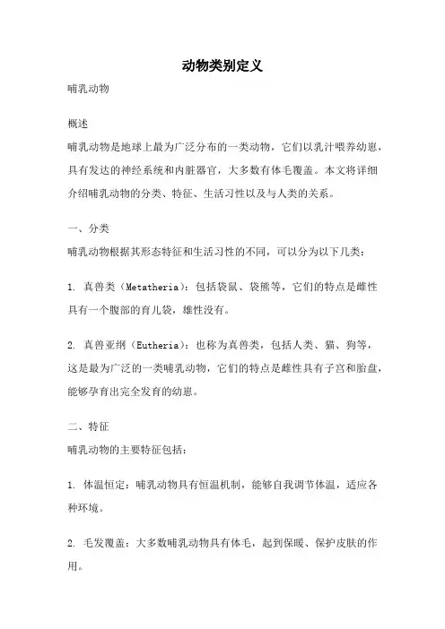 动物类别定义