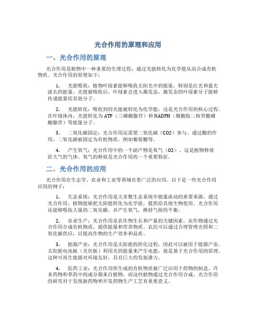 光合作用的原理和应用题目