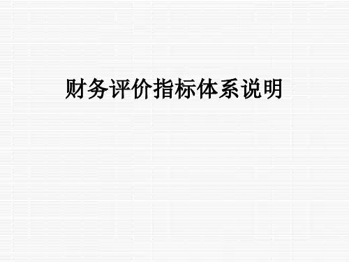 财务评价指标体系说明